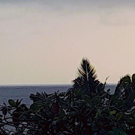 Mirissa Village Mirissa Dış mekan fotoğraf