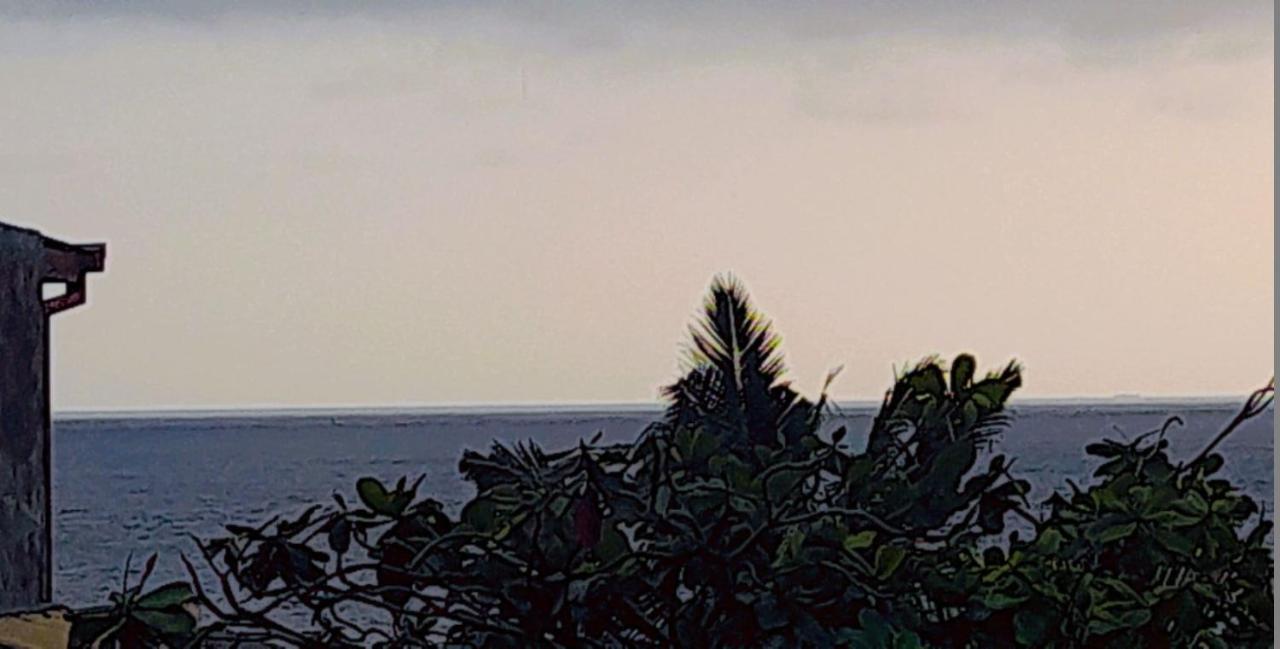 Mirissa Village Mirissa Dış mekan fotoğraf